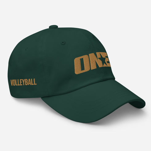 Volleyball 1STAR Zest Dad Hat